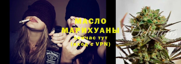 прущий лед Алзамай