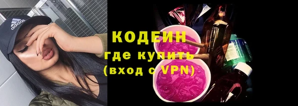 прущие грибы Абинск