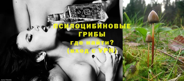 прущий лед Алзамай