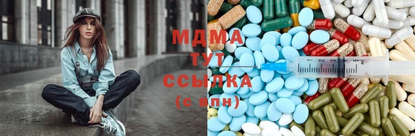 прущие грибы Абинск