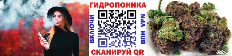 Бошки марихуана планчик  магазин    Котовск 